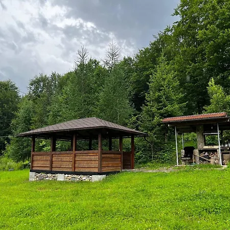 Дом отдыха яблуневий цвіт *
